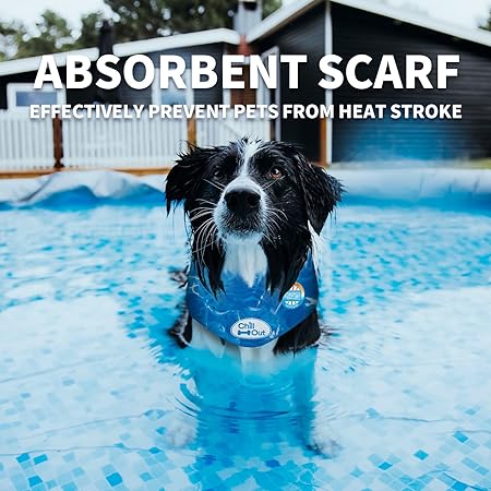 All For Paws Instant Cooling Dog Ice Bandana