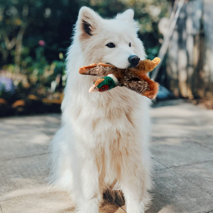 All For Paws Realistic Pheasant Squeaky Plush Dog Toy