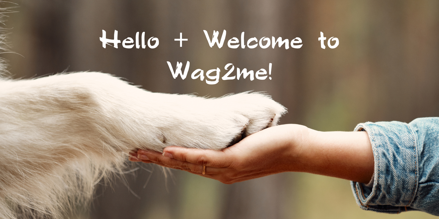 Hello + Welcome to Wag2me!