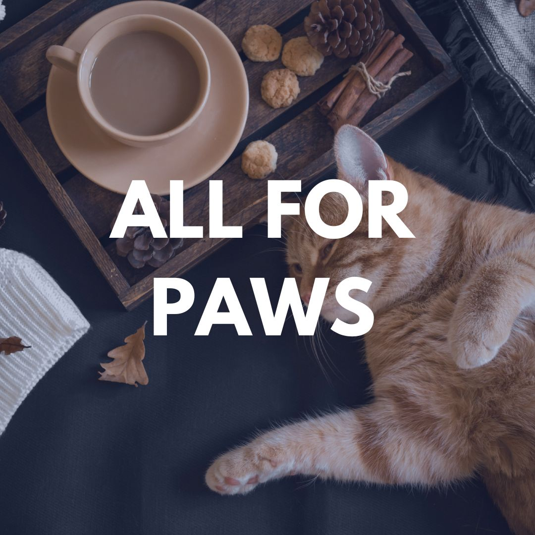 All For Paws