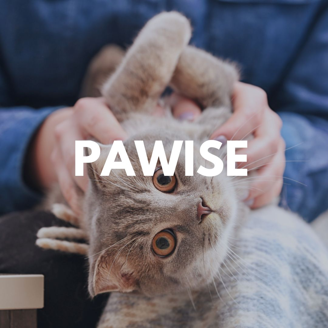 Pawise