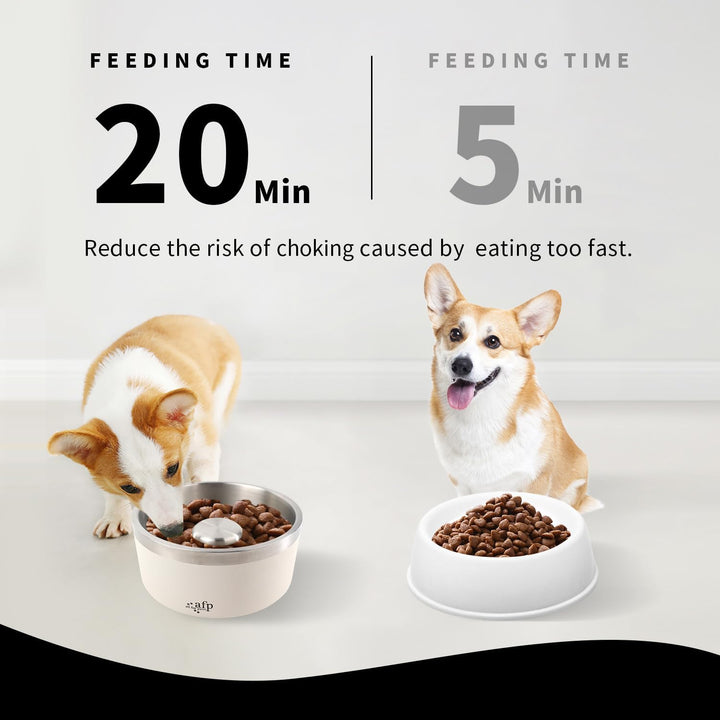 All For Paws Slow Feeding Pet Bowl
