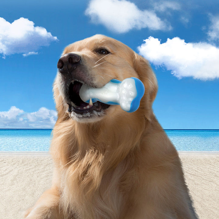 All For Paws Chill Out Ice Bone Dog Cooling Freezer Toys