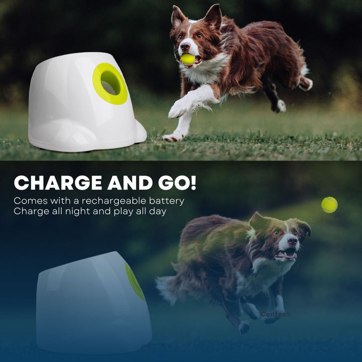 all for paws ball launcher