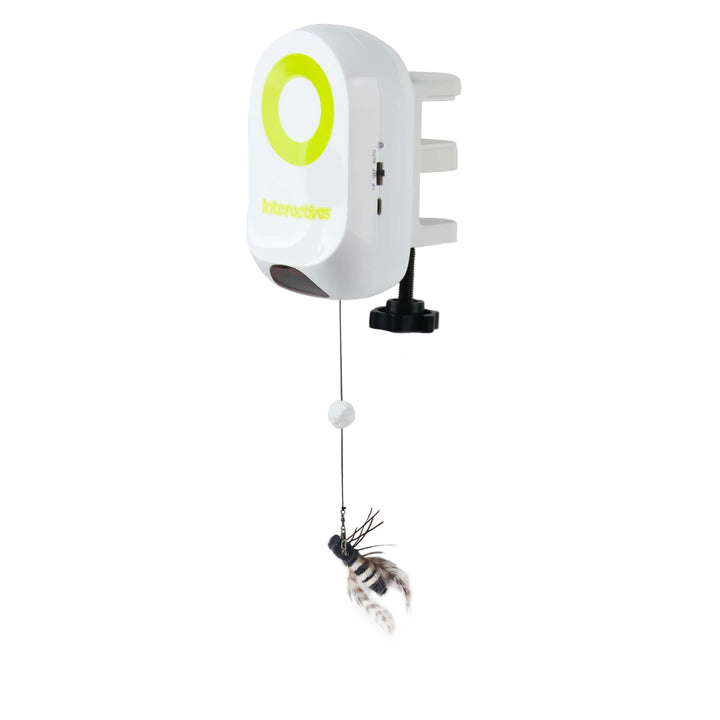 All For Paws Interactives Yoyo Bug Cat Toys