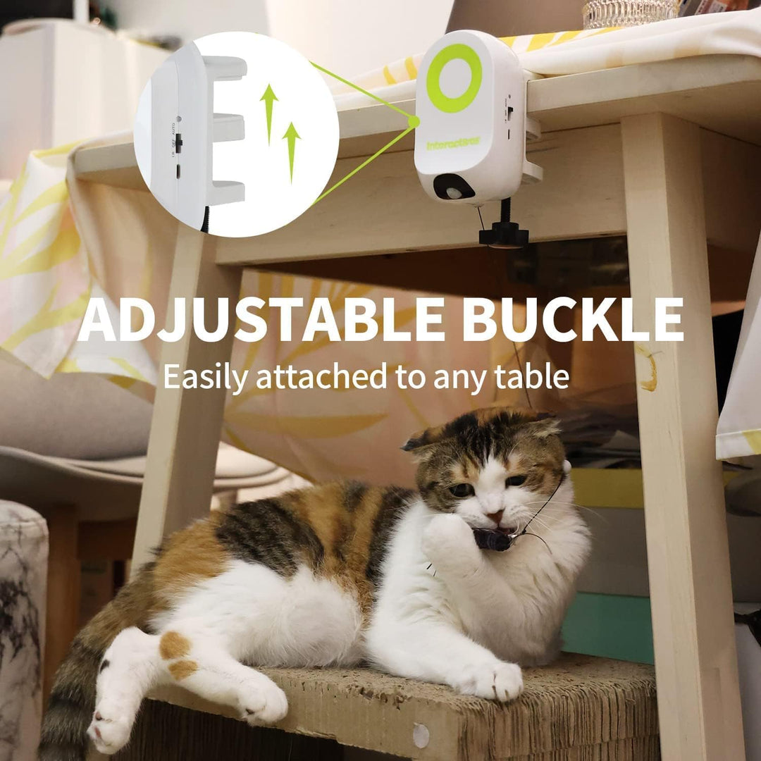 All For Paws Interactives Yoyo Bug Cat Toys