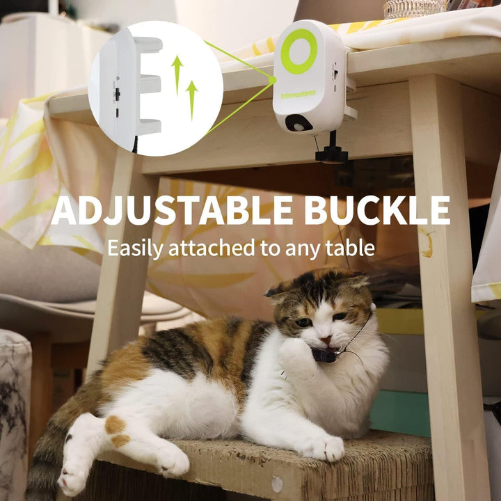 All For Paws Interactives Yoyo Bug Cat Toys