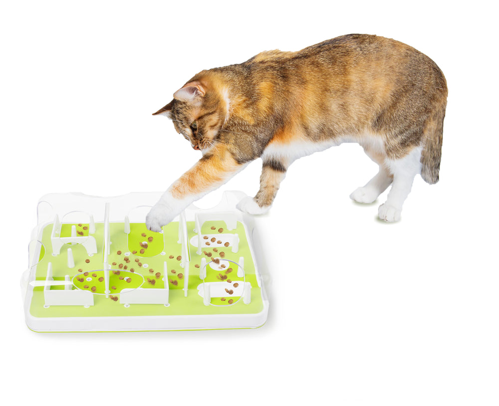 All For Paws Puzzle Cat Feeder Treat Maze Interactive Cat Toy