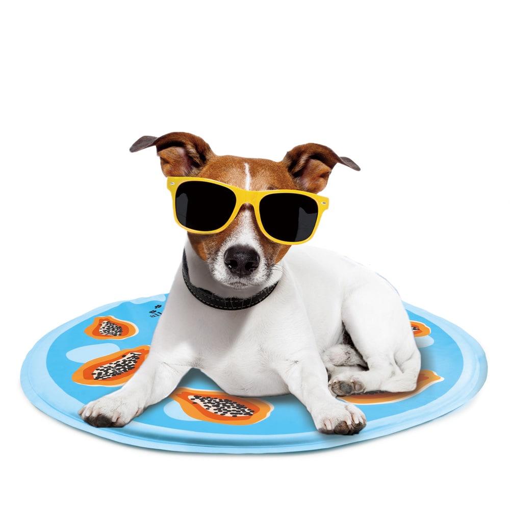 ALL FOR PAWS Dog Cooling Mat