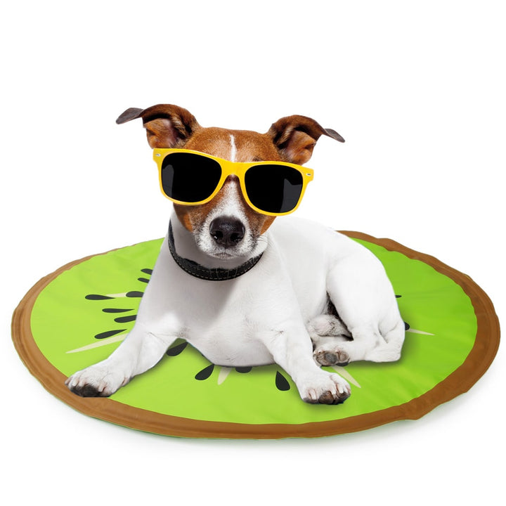 ALL FOR PAWS Dog Cooling Mat