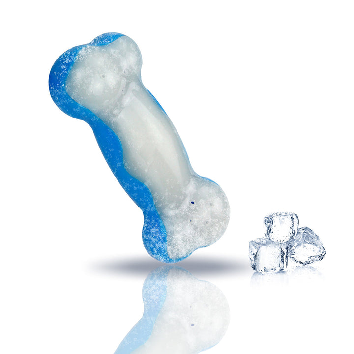 All For Paws Chill Out Ice Bone Dog Cooling Freezer Toys