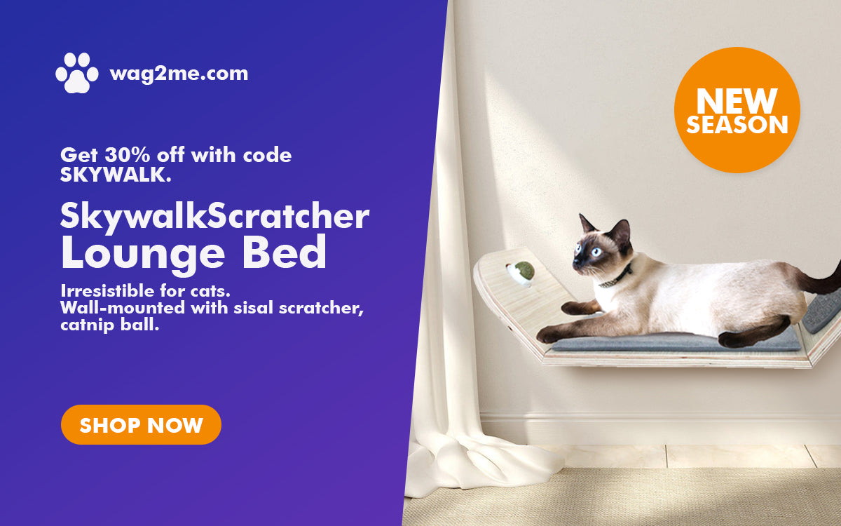 New Release: Skywalk - Scratcher Lounge Bed With Catnip Ball