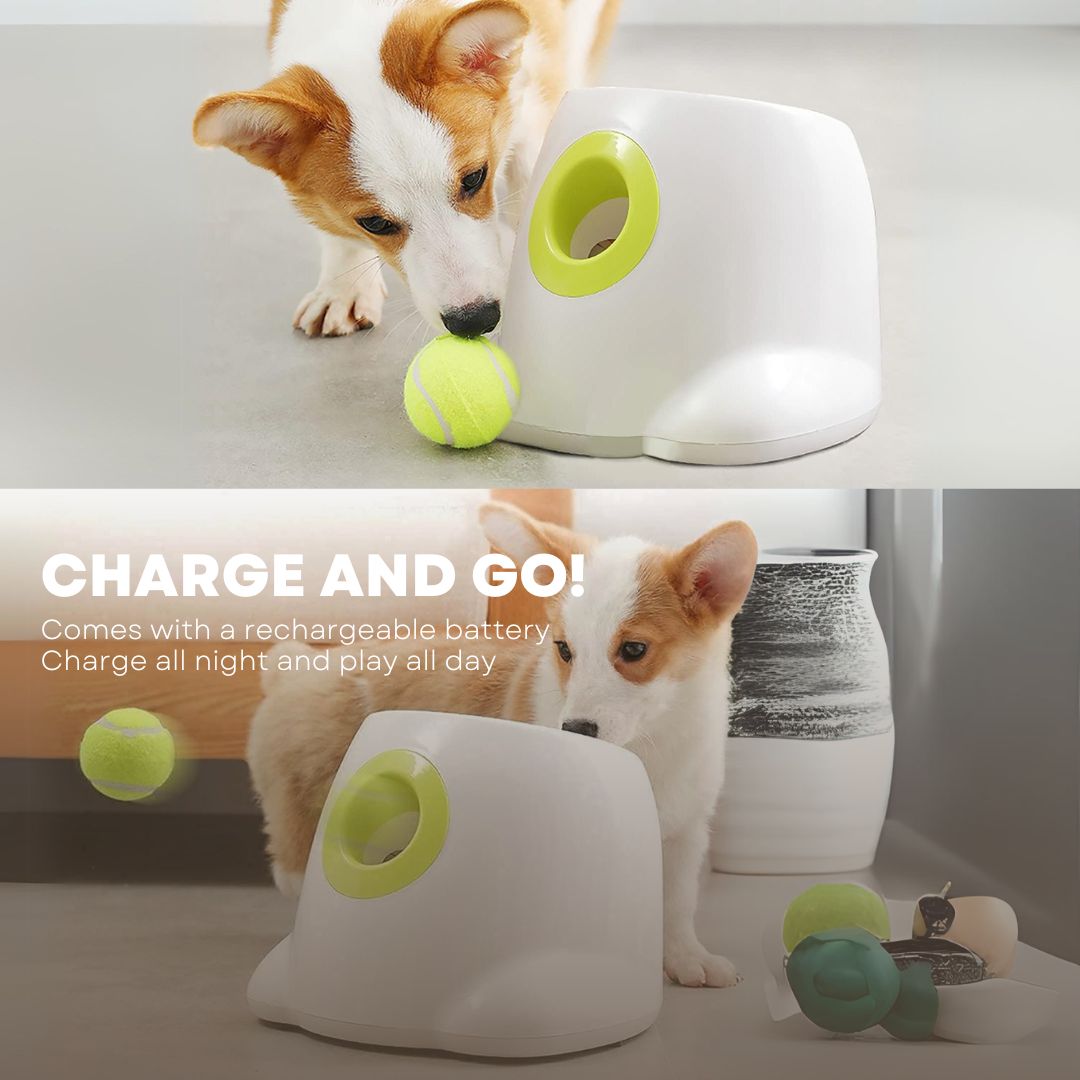All For Paws Hyper Fetch (Mini) Automatic Ball Launcher Interactive Dog Toy