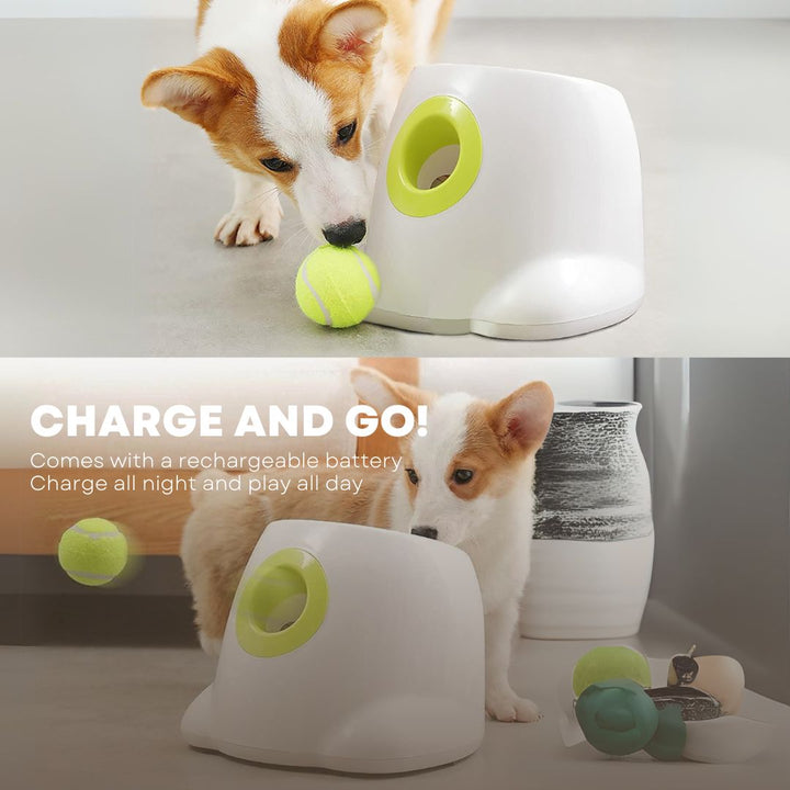 All For Paws Hyper Fetch (Mini) Automatic Ball Launcher Interactive Dog Toy