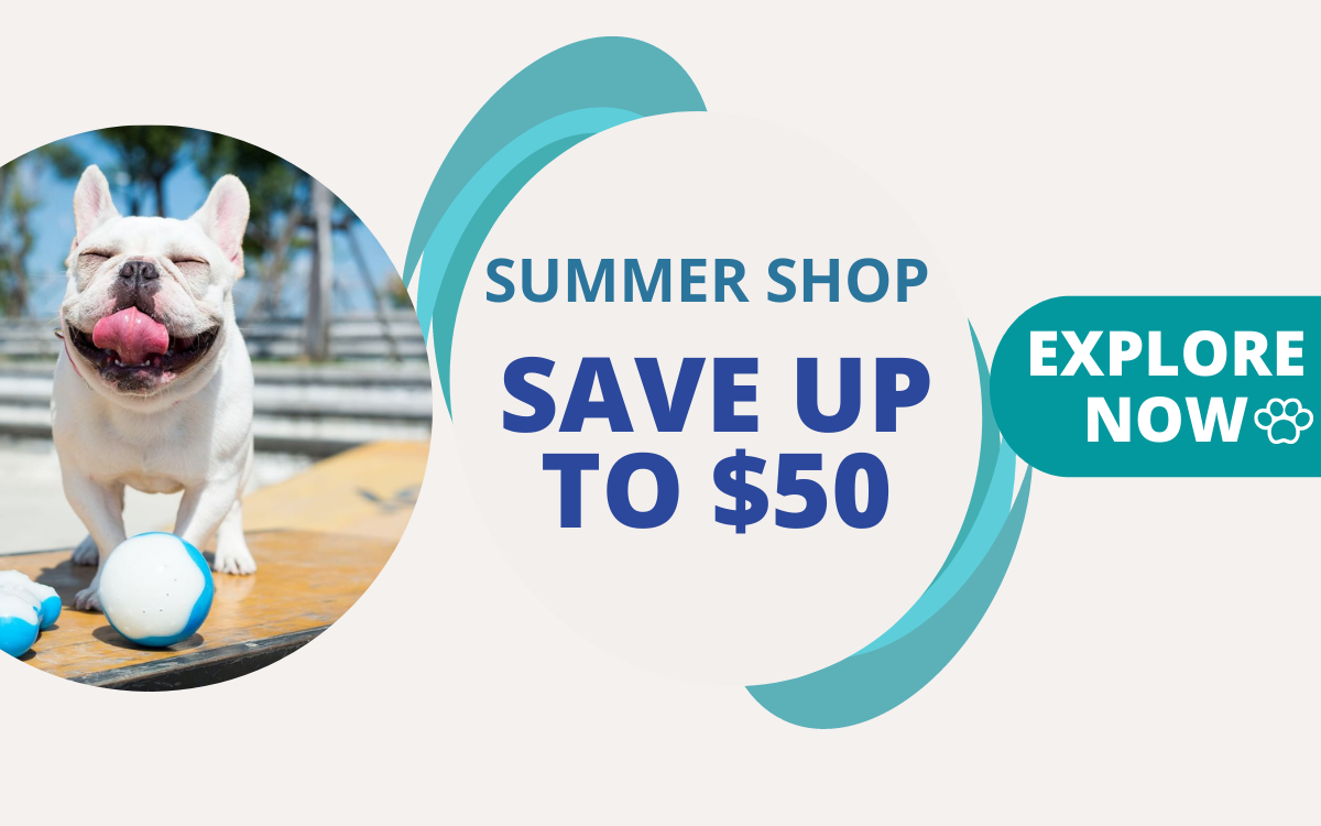 wag2me summer sale