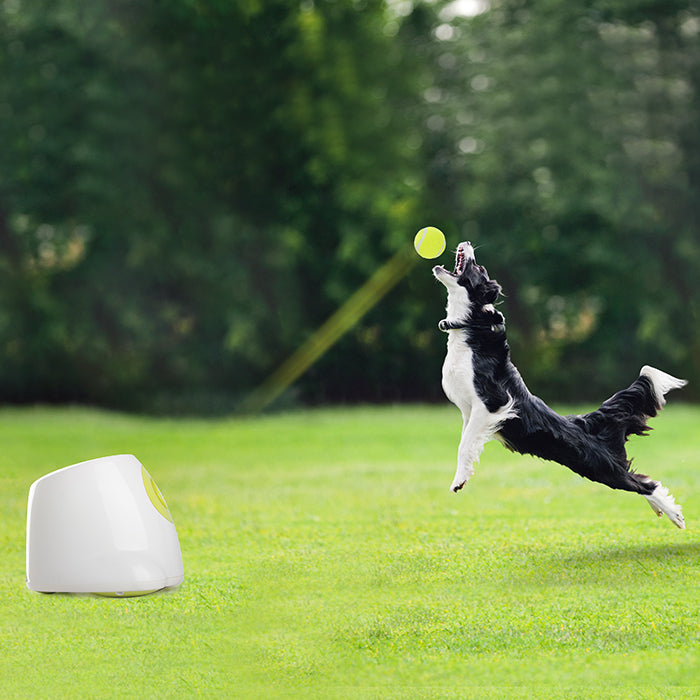 PetPrime Dog Automatic Ball Launcher Dog Interactive Toy Dog Fetch