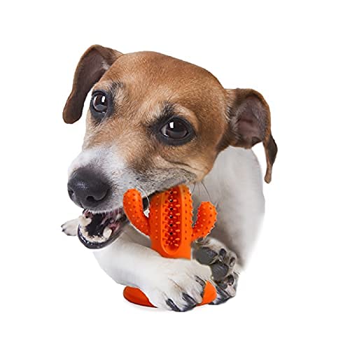 All For Paws Cactus Puppy Teething Dog Chew Toys