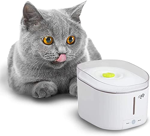 All For Paws Automatic Cat Water Fountain Dog Water Dispenser Pet Fountain Water Bowl