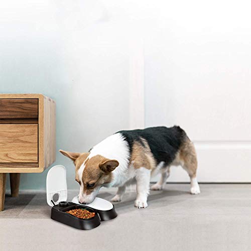 Pawise Automatic Pet Feeder Water Bowl Dog & Cat Food Dispenser