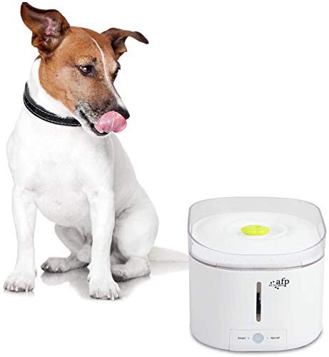 All For Paws Automatic Cat Water Fountain Dog Water Dispenser Pet Fountain Water Bowl