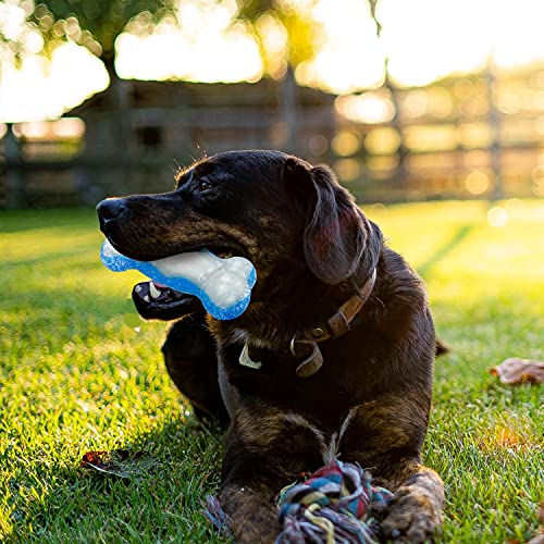 All For Paws Chill Out Ice Bone Dog Cooling Freezer Toys