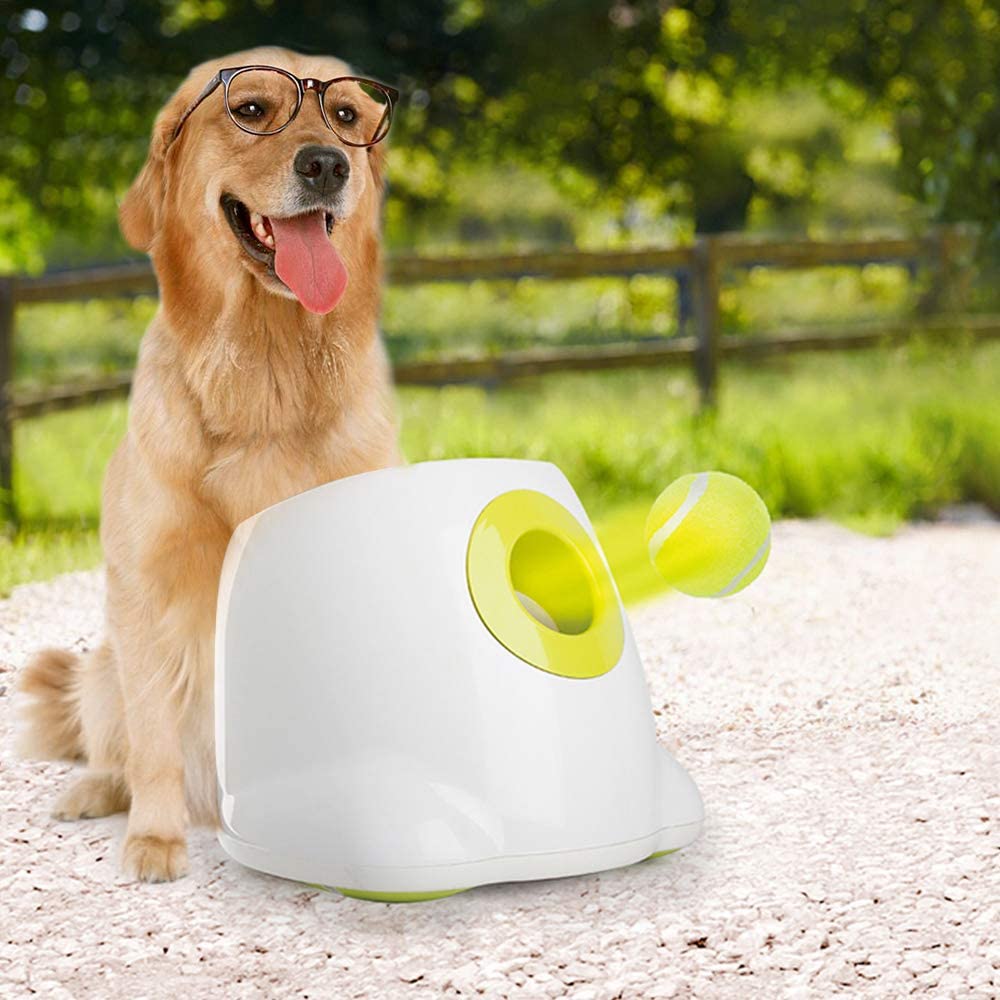 All For Paws Hyper Fetch (Maxi) Automatic Ball Launcher Interactive Dog Toy