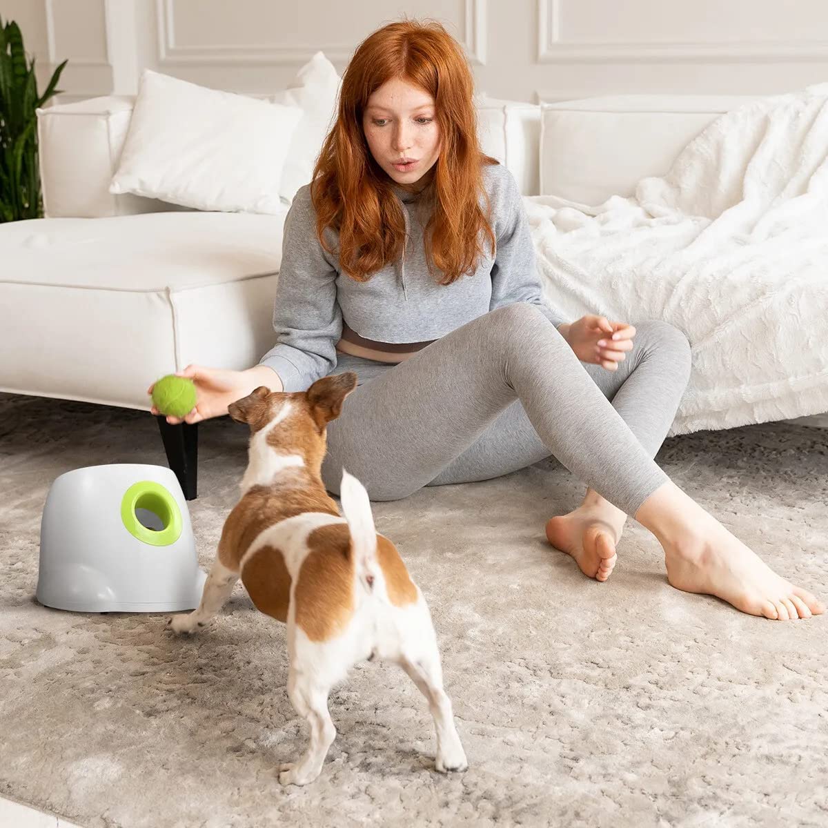 All For Paws Automatic Ball Launcher Interactive Small Dog Toy Wag2me