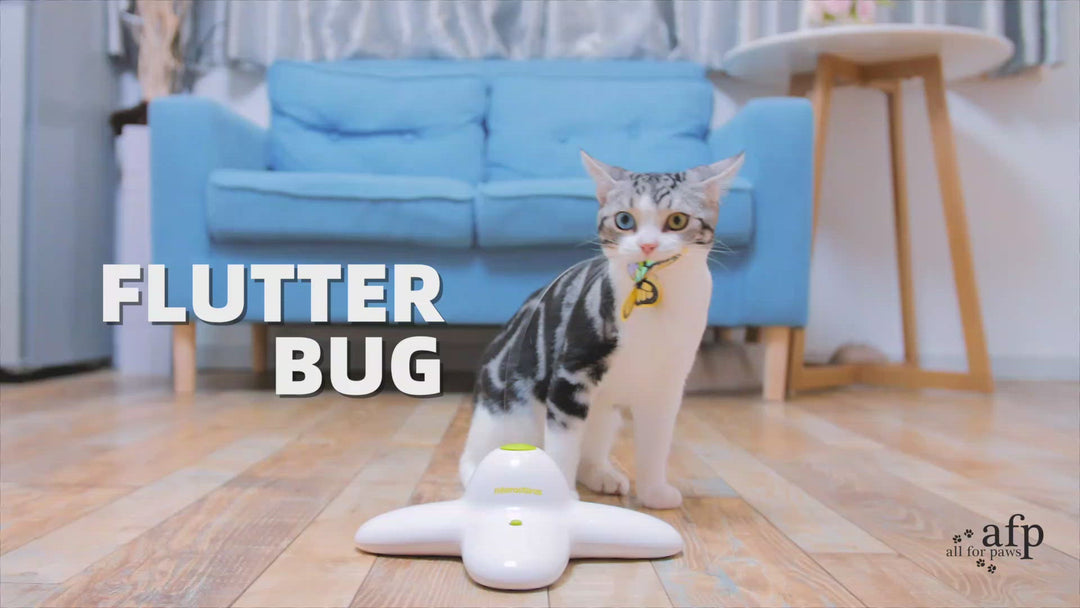 All For Paws Flutter Bug Rotating Butterfly Interactive Cat Toy