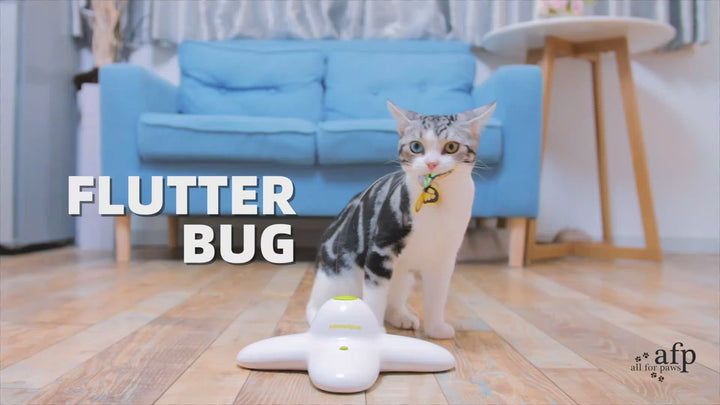 All For Paws Flutter Bug Rotating Butterfly Interactive Cat Toy