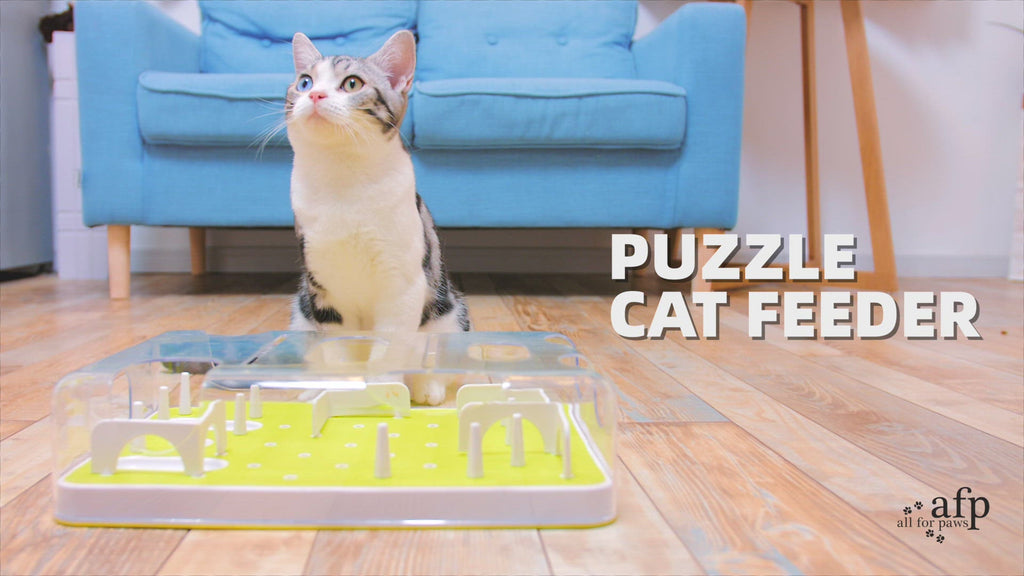 Interactive Cat Food Maze, Mental Stimulation Cat Puzzle Toy Slow Feeding  Treat