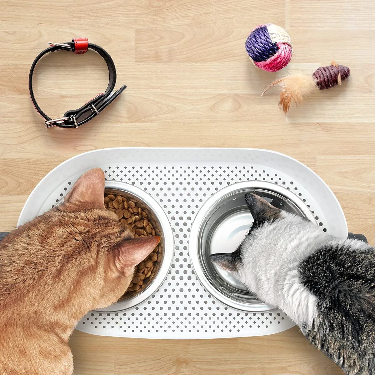 All For Paws 3 In 1 Elevated Double Diner Dog & Cat Bowls