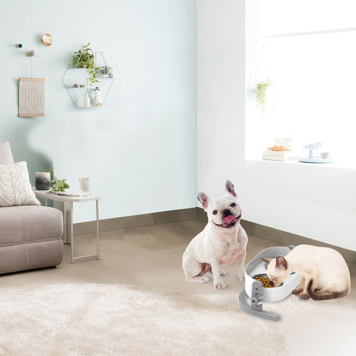 All For Paws 3 In 1 Elevated Double Diner Dog & Cat Bowls