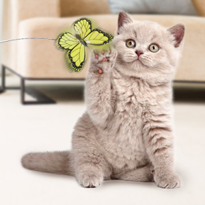 Replacement butterflies 2024 for cat toy